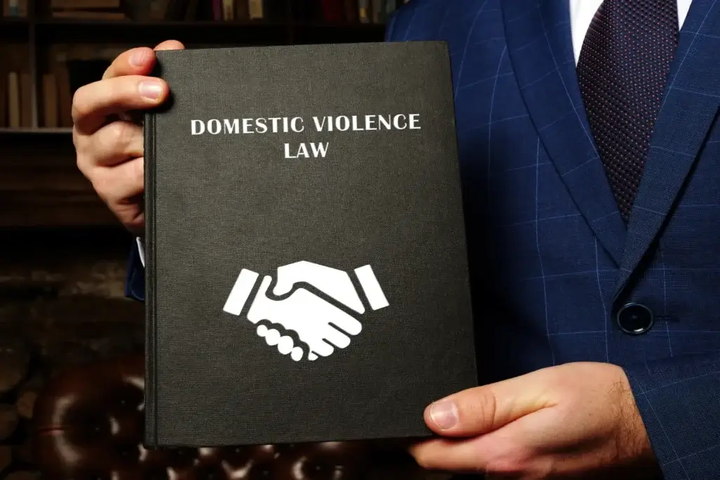 South Carolina Domestic Violence Attorney